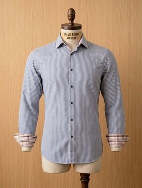 Luxurious Business Striped Buttondown with Colorful Accents